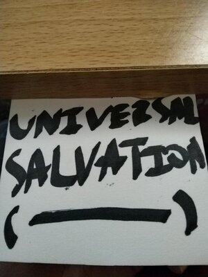 cover image of Universal Salvation